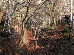 
Jamesville quarry from the top of the incline, Cwmcarn, December 2008